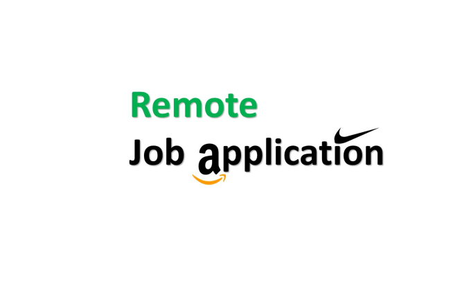 Gig Preview - Search and apply for remote jobs and navigate your dream career job