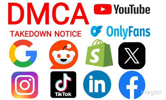 Gig Preview - Takedown copyright content from reddit,tiktok,google,fb,yt,ig under dmca report