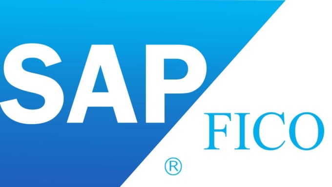 Gig Preview - Solve sap fico certified consultant