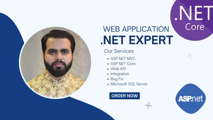 Gig Preview - Develop custom web solutions with asp net core and dot net mvc