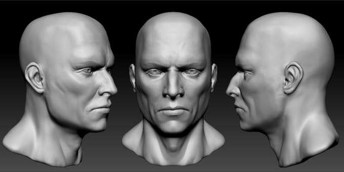 Sculpter la tête 3d visage réaliste modèle de tête 3d, buste tête réaliste  3d et cheveux xgen