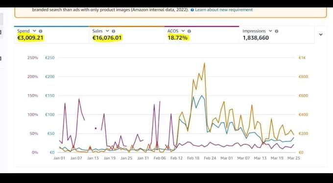 Gig Preview - Be amazon PPC expert, amazon advertising, boost your sales with amazon ads