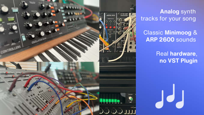 Bestseller - record virtuoso real analog synth parts for your song