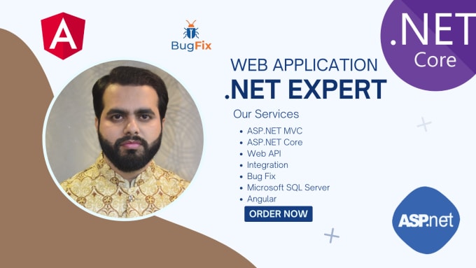 Gig Preview - Develop a web application in angular, asp net core, mvc, apis