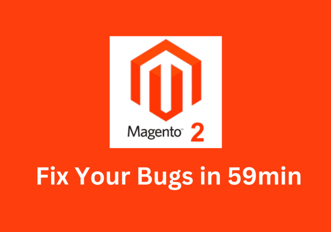 Gig Preview - Fix your magento 2 in 59minutes