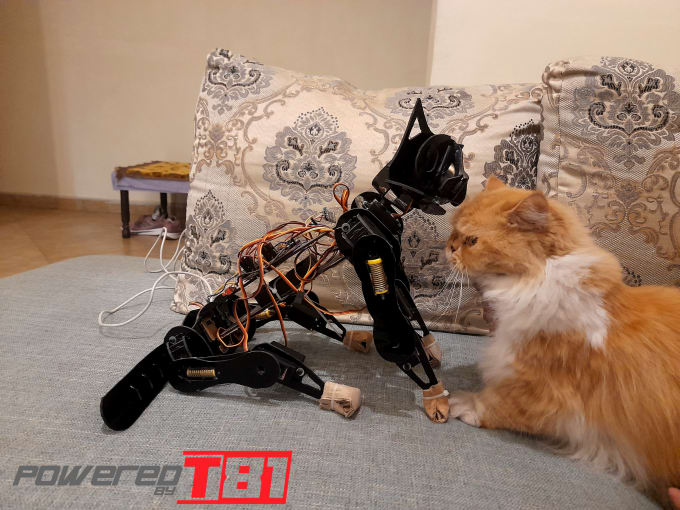 Gig Preview - Do robotic dog or cat project codding for you