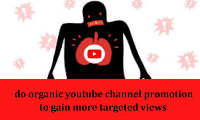 Gig Preview - Do organic youtube channel promotion to gain more targeted views