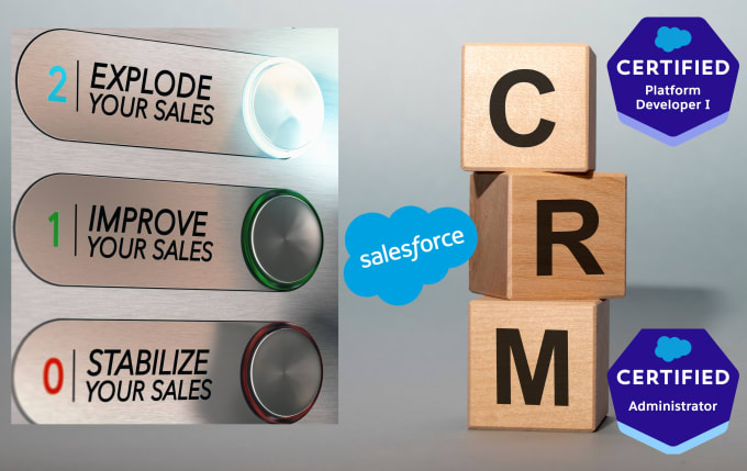 Gig Preview - Be your salesforce consultant and salesforce administrator