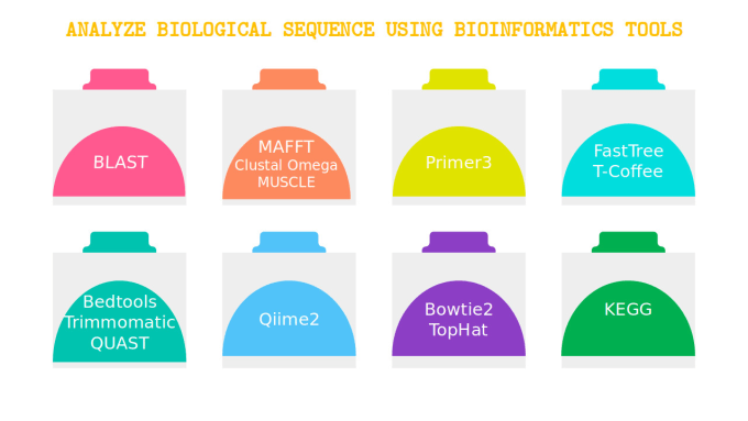 Gig Preview - Analyze biological sequences using bioinformatics tools