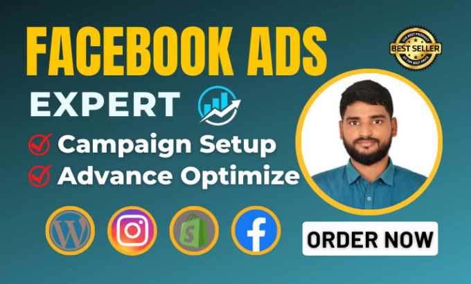 Gig Preview - Run wordpress facebook ads campaign shopify fb advertising and instagram ads