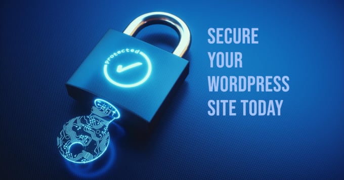 Gig Preview - A wordpress website security audit