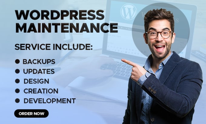 Gig Preview - Fix wordpress errors and maintains update your wordpress website