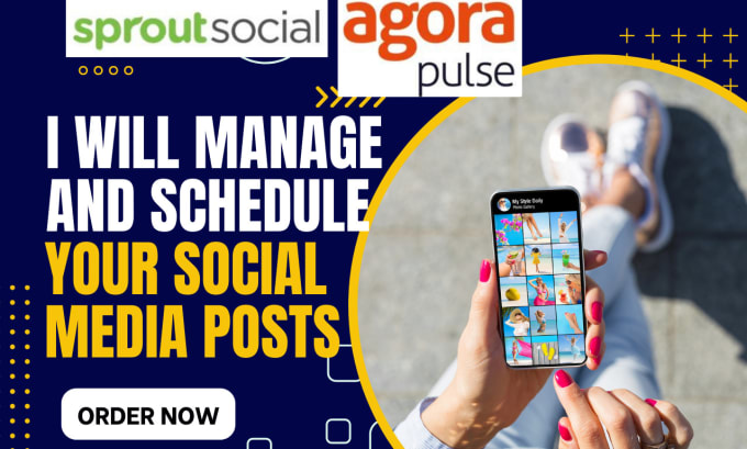 Gig Preview - Manage and schedule your social media posts using sprout social and agorapulse