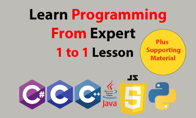 Bestseller - teach you c, cpp, c sharp, java, javascript, and python to advance level