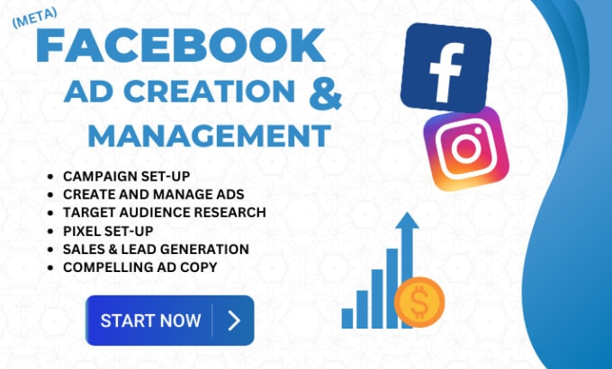 Gig Preview - Optimize your facebook and instagram ad campaigns