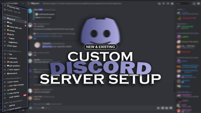 Gig Preview - Setup a professional custom discord server for you