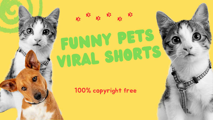 Gig Preview - Create viral funny pets videos or youtube shorts for ig and facebook