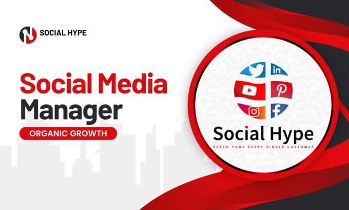 Gig Preview - Be your social media manager and personal assistant