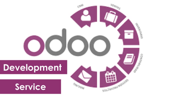 Gig Preview - Do odoo erp system setup and configuration service