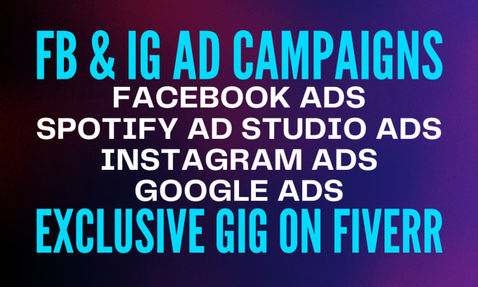 Gig Preview - Create facebook and instagram ads campaign