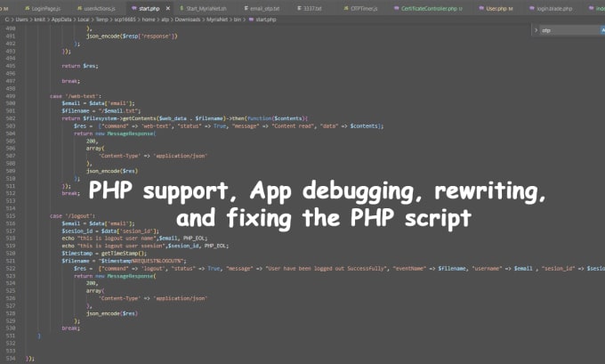 Gig Preview - Write PHP scripts, develop websites, debug, and fix errors