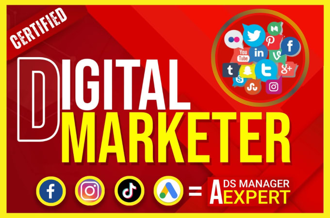 Gig Preview - Pro digital marketing manager for fb insta tiktok meta ads