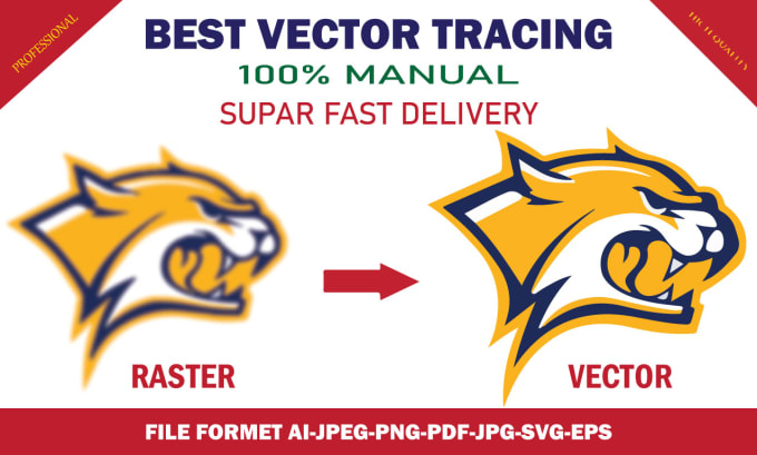 Gig Preview - Do manually any image,logo vector trace,convert raster to vector professionally