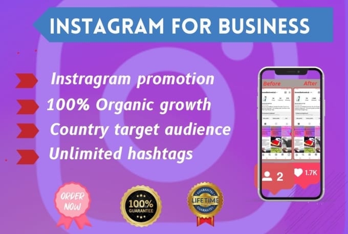 Gig Preview - Do instagram promotion organicly