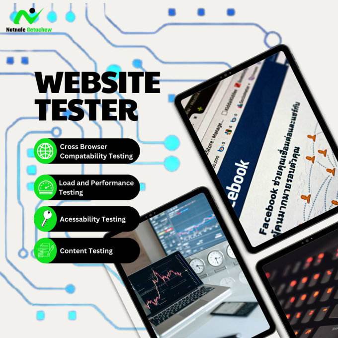 Gig Preview - Professional website testing service