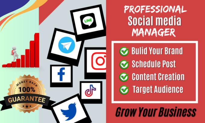 Gig Preview - Be your professional social media manager