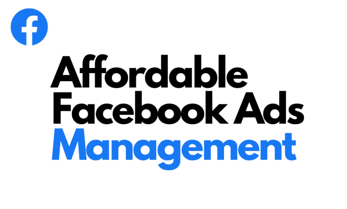 Gig Preview - Create or optimize your facebook paid ads campaign, with 7 to 28 days management