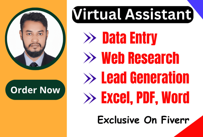 Gig Preview - Be your professional virtual assistant for data entry  job