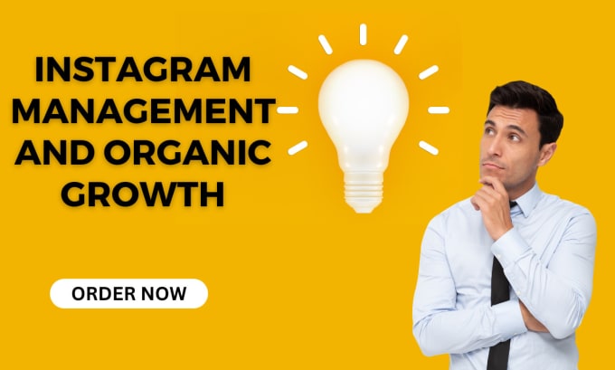 Bestseller - be your instagram manager to do super fast organic instagram growth