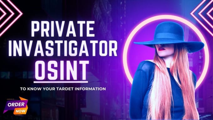 Gig Preview - Professional osint private investigator and background checker on any target