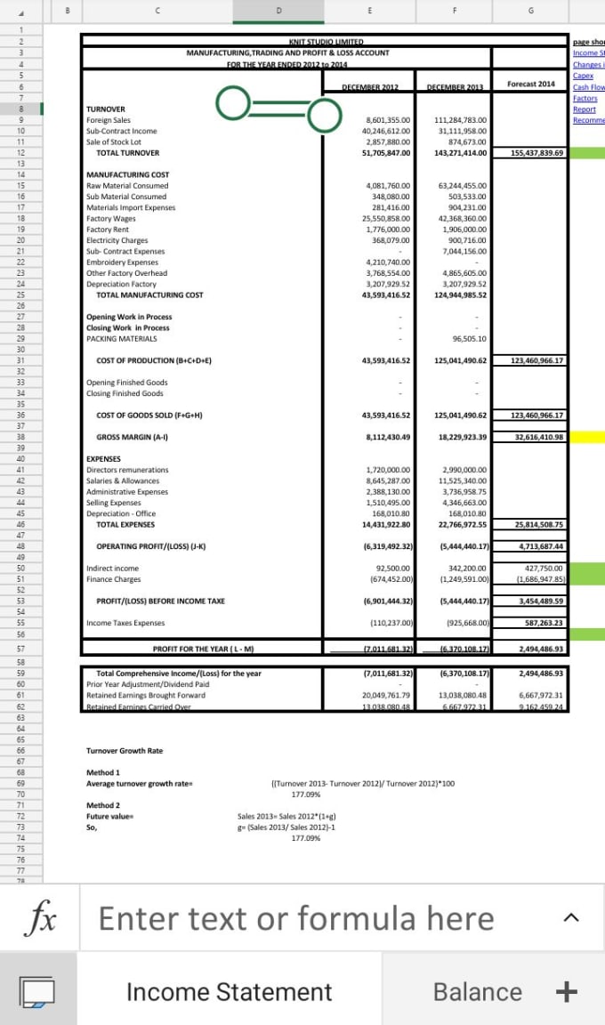 Gig Preview - Deliver financial projections, budgets,  financial statements