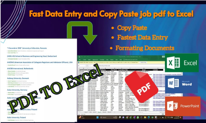 Gig Preview - Do fast data entry and copy paste job pdf to excel