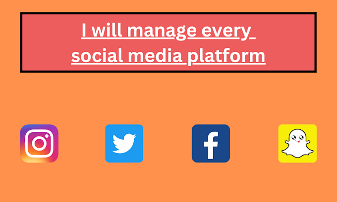 Gig Preview - Manage every social media platform