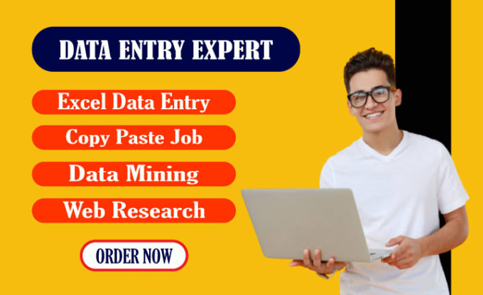 Gig Preview - Do data entry web research and data mining for you