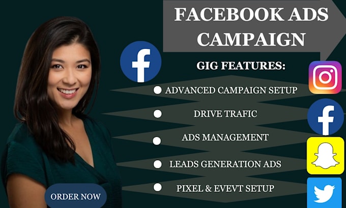 Gig Preview - Do facebook ads campaign, fb marketing, advertising, fb ads, instagram ads