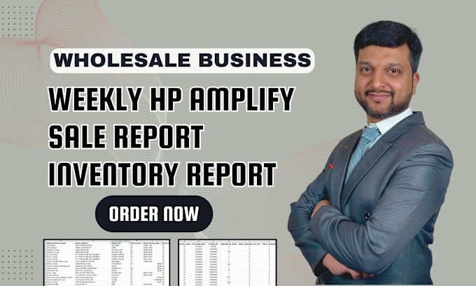 Gig Preview - Create the hp weekly amplify reports for the hp wholesalers