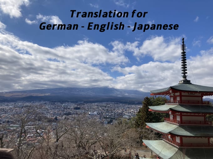 Gig Preview - Translate german, english and japanese manually for you