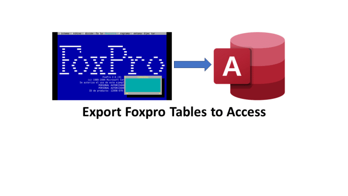 Gig Preview - Migrate your foxpro tables to access