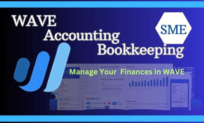 Gig Preview - Provide wave assisted professional bookkeeping services