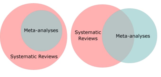 Gig Preview - Do systematic reviews and meta analysis