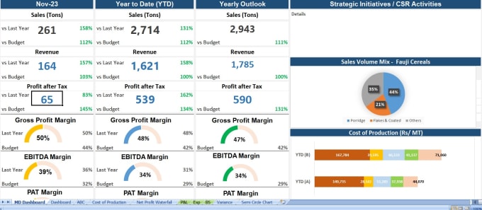 Gig Preview - Prepare financial models, budgets and forecasts with a dashboard