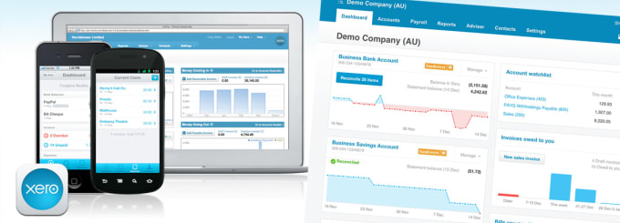 Gig Preview - Do bookkeeping in xero and quickbooks