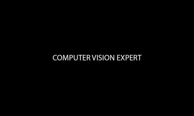 Gig Preview - Provide professional computer vision services