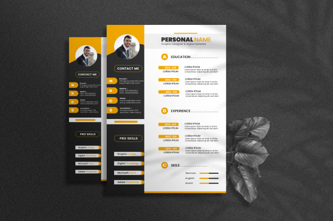 Gig Preview - Make perform professional CV and resume design any language