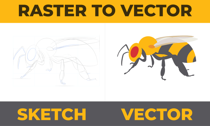 Gig Preview - Redraw, transform, and trace logo or image to vector format