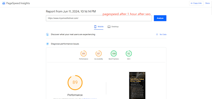 Gig Preview - Speed optimize wordpress site for google pagespeed insights in few hours